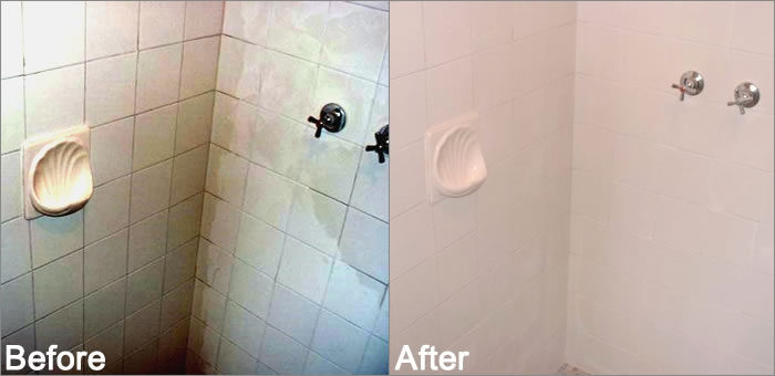giddyup shower repair